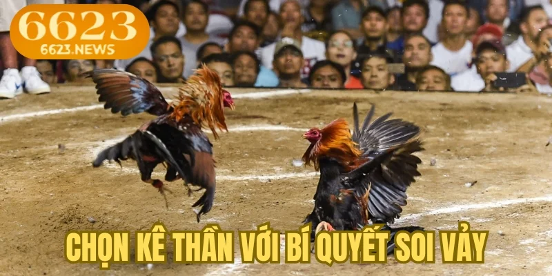 Chọn kê thần với bí quyết soi vảy