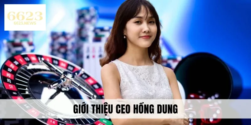 Giới thiệu CEO Hồng Dung