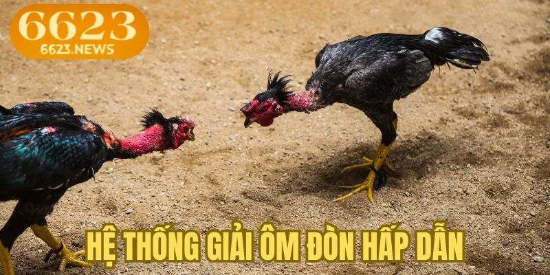 Hệ thống giải ôm đòn hấp dẫn