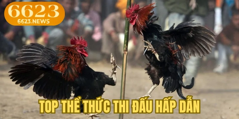 Top thể thức thi đấu hấp dẫn