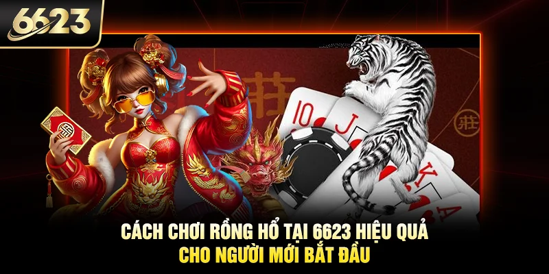 Cách chơi rồng hổ